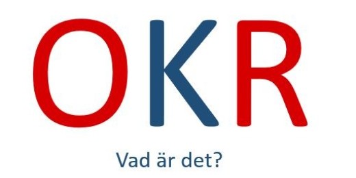 Patrik von Bergen OKR expert